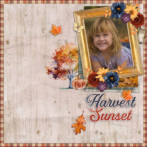 Harvest Sunset