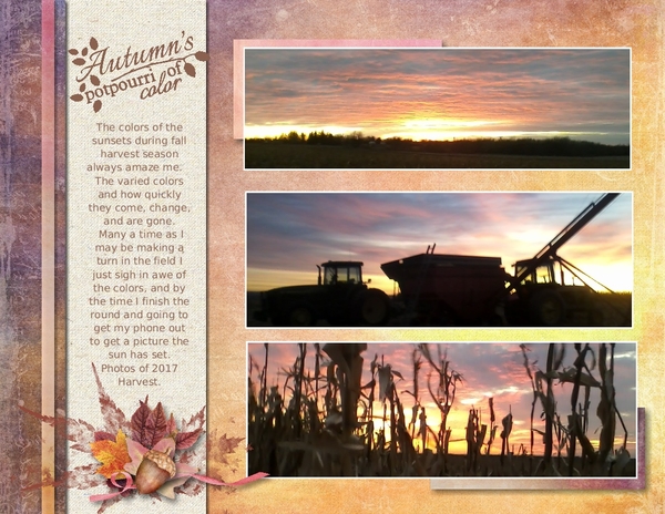 Harvest sunsets