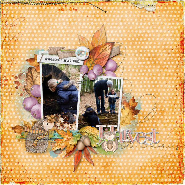 Harvest the memories