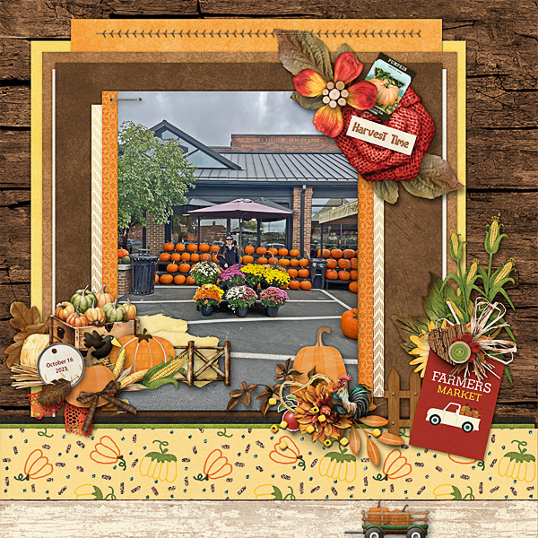 Harvest Time at the Farmers Market