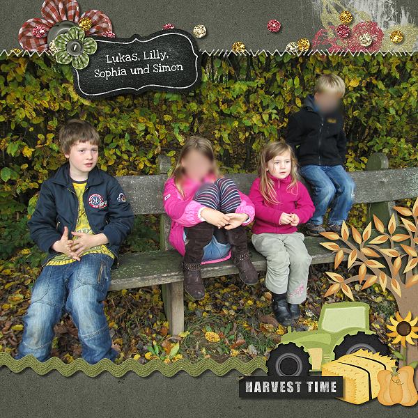 Harvest Time