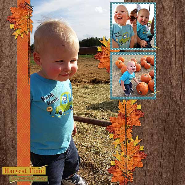 Harvest Time