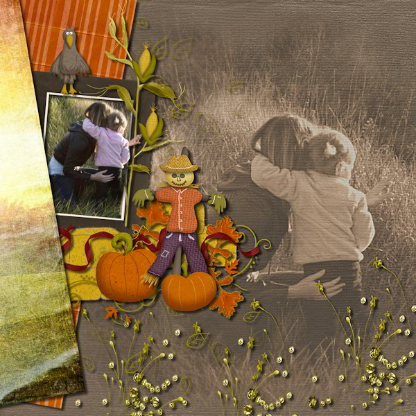 Harvest time