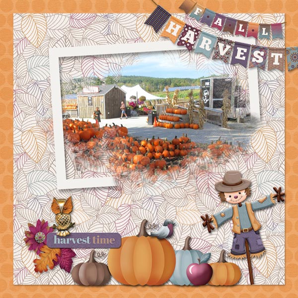 Harvest Time