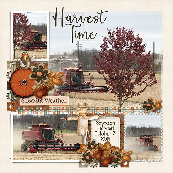 Harvest Time