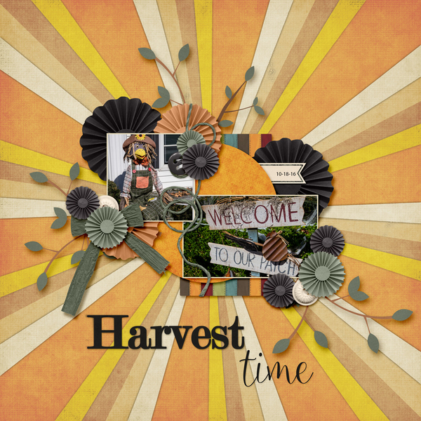 Harvest Time