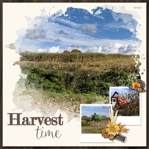 Harvest time
