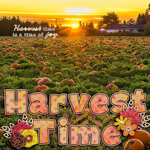 Harvest Time