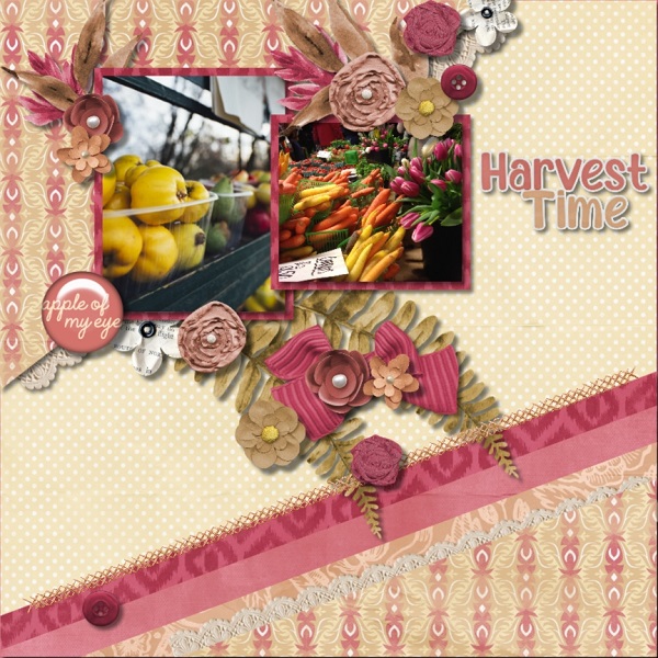 Harvest Time