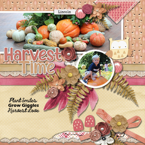 Harvest Time