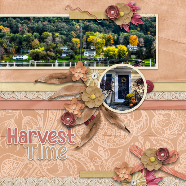 Harvest Time