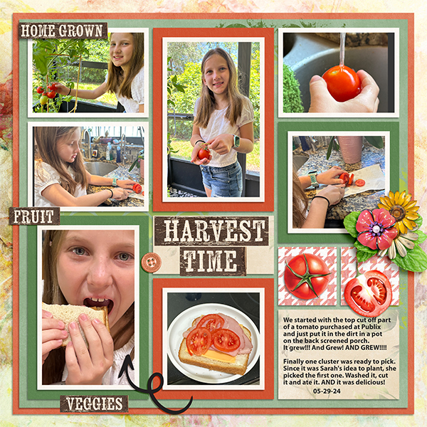 Harvest Time