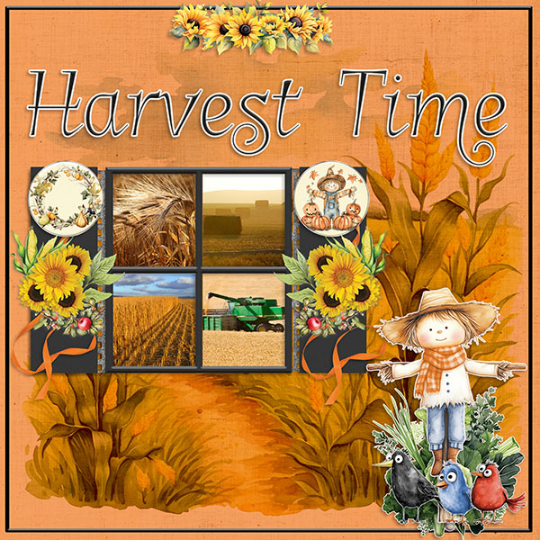 Harvest Time