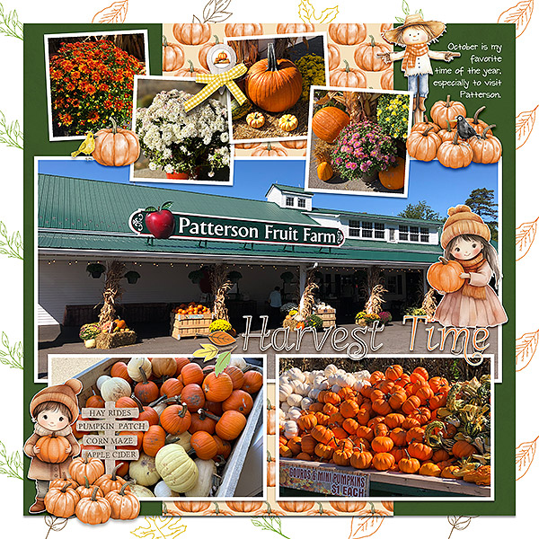 harvest time