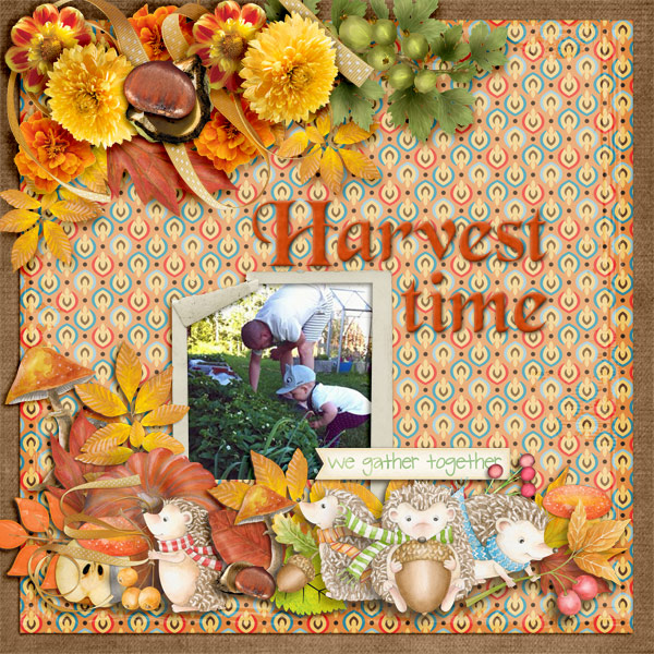 Harvest-time2