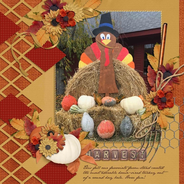 Harvest - Turkey