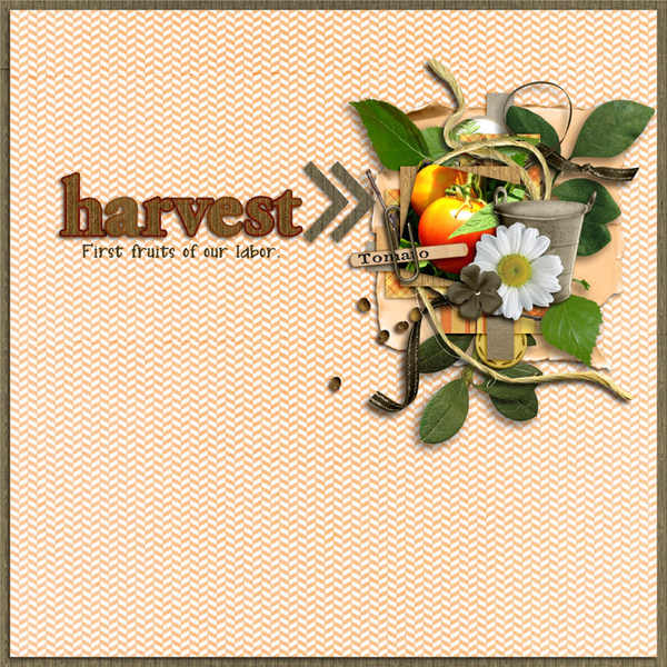 harvest.