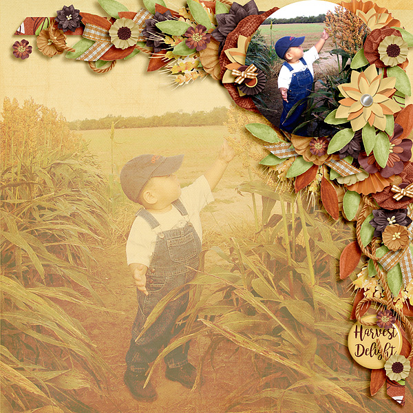 Harvest