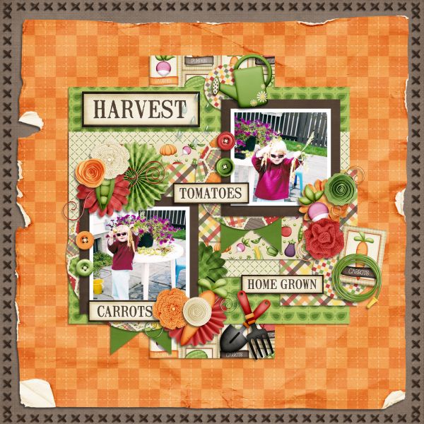 Harvest