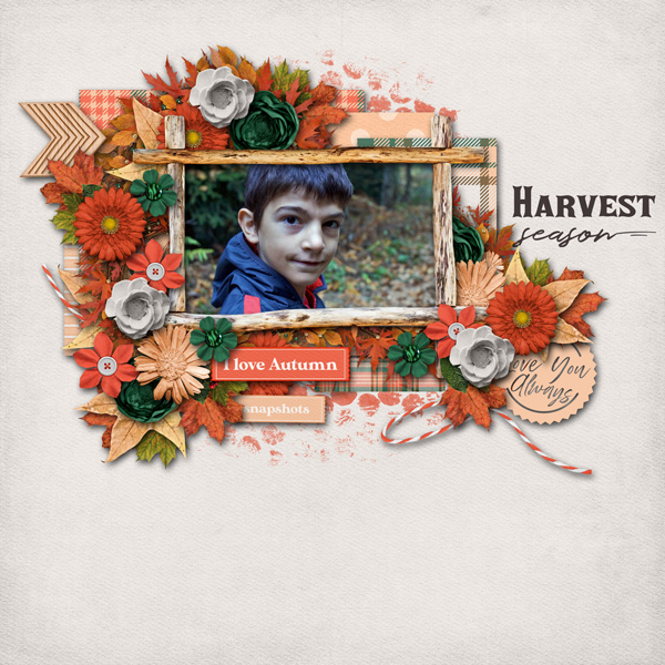 harvest