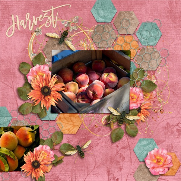 Harvest
