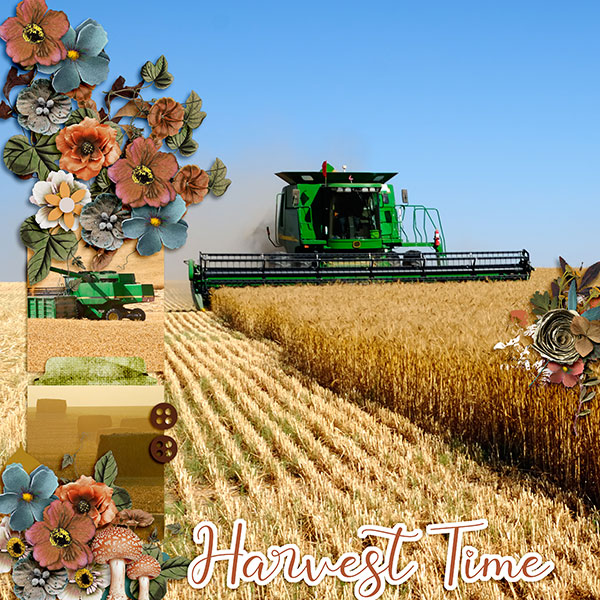 Harvest