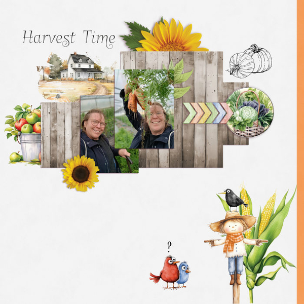 Harvest