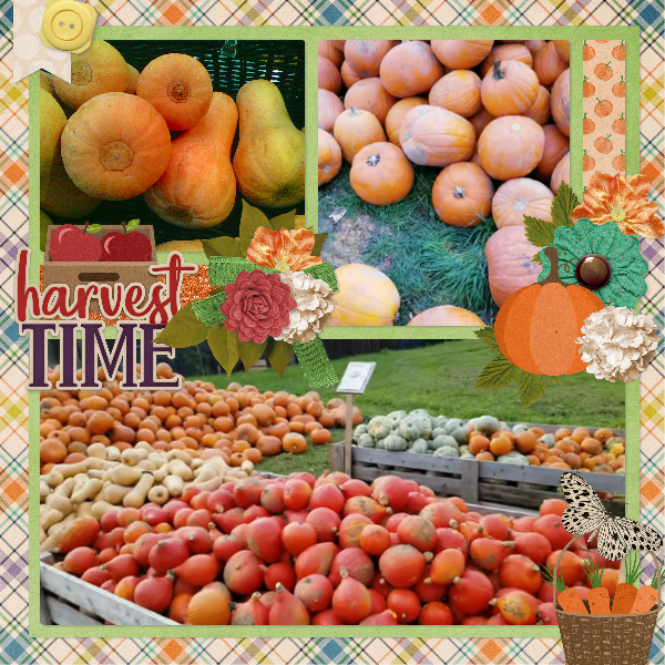 Harvest_time