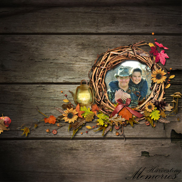 Harvesting Memories