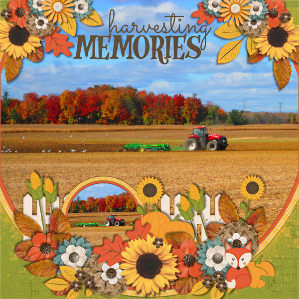 Harvesting Memories