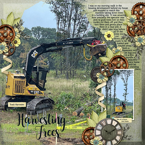 Harvesting Trees