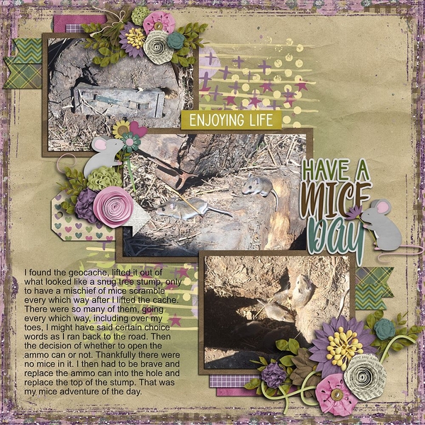 Have a Mice Day