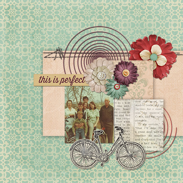 Have You A Wheel by Chere Kaye Designs