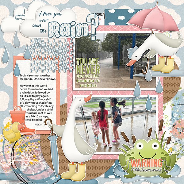 Have You Ever Seen the Rain