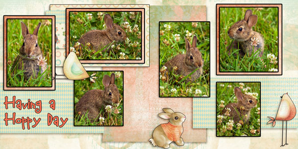 Having a Hoppy Day