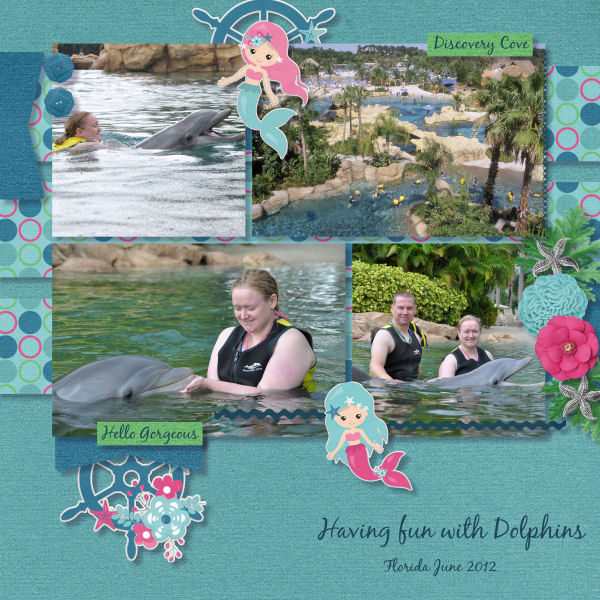 Having fun with Dolphins