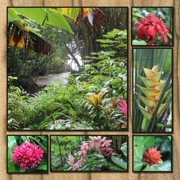 Hawaii-010