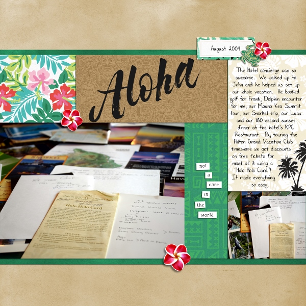 Hawaii 2009 Aloha Concierge