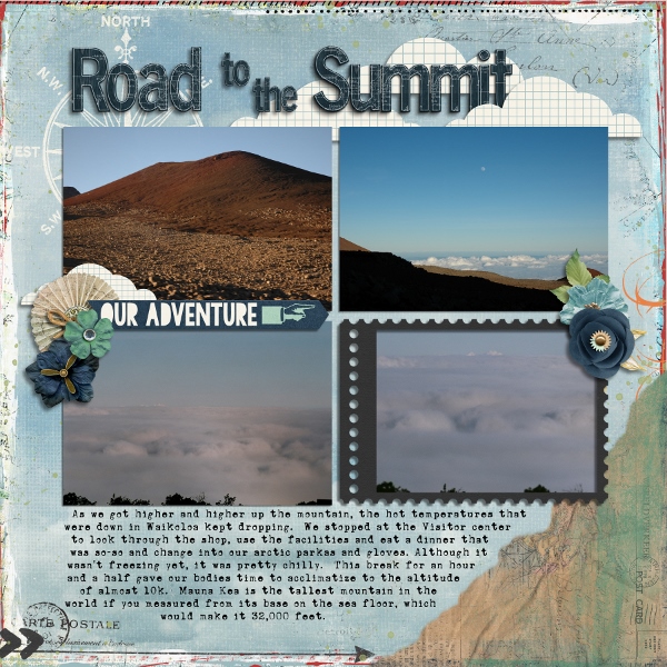 Hawaii 2009 - Road to the Summit