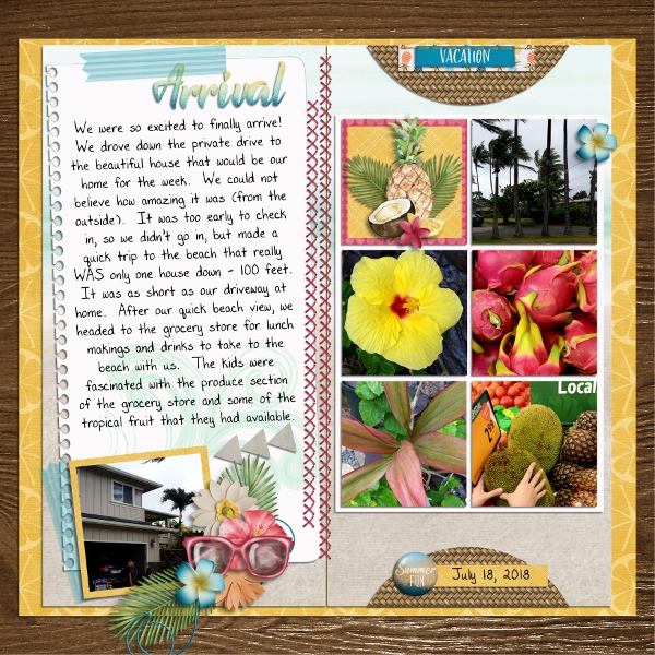 Hawaii Arrival