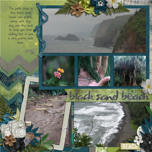 Hawaii Black Sand Beach