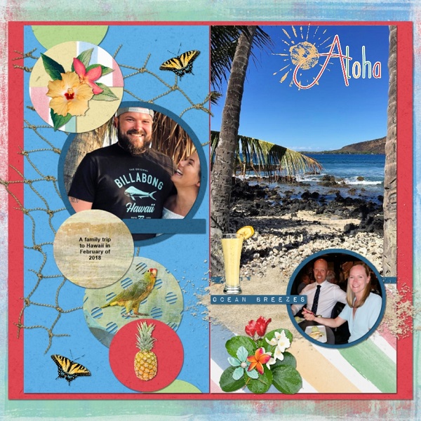 Hawaii Fun
