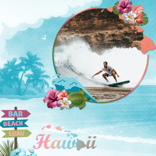 Hawaii.jpg