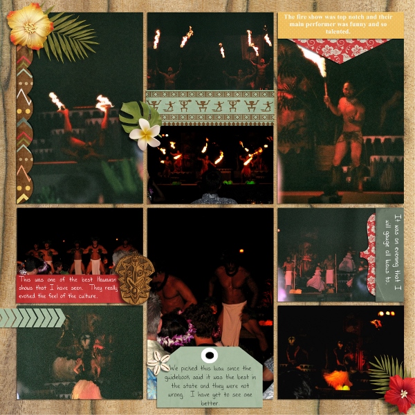 Hawaii Luau Show