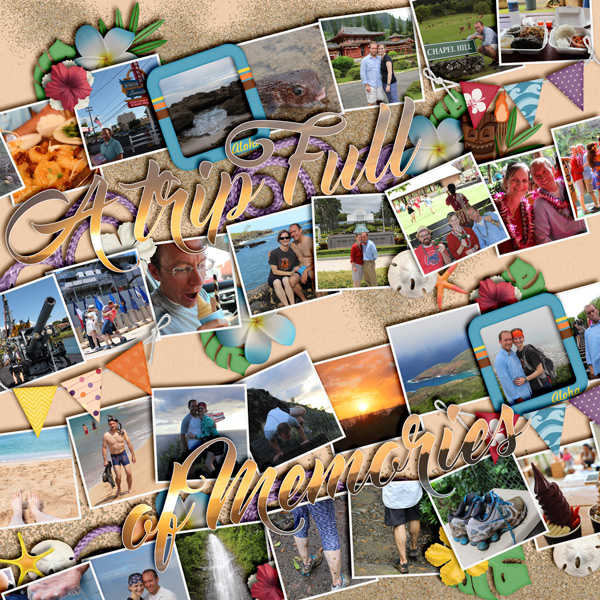 Hawaii Memories