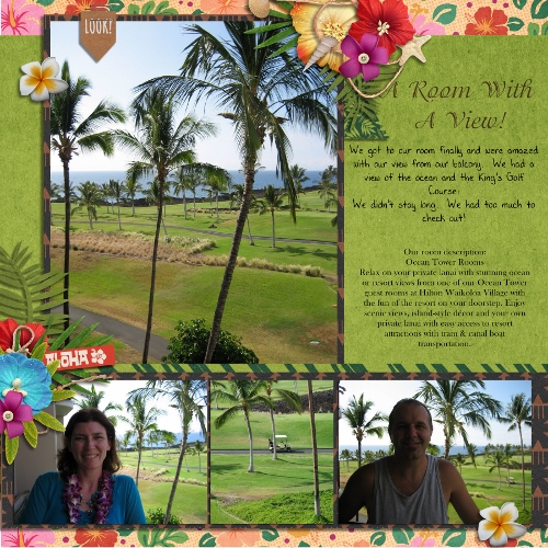 Hawaii Room with a View