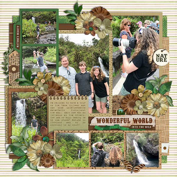 Hawaii Waterfalls