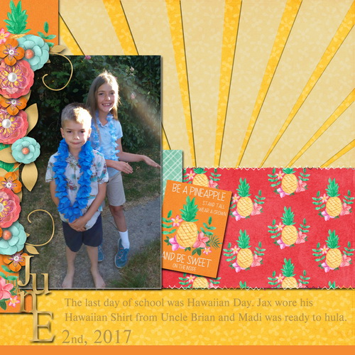 Hawaiian Day