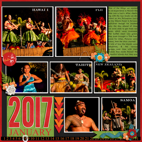 Hawaiian Luau