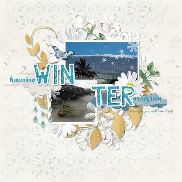 Hawaiian Winter